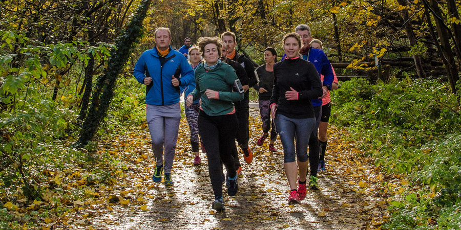 Een groep joggers loopt in het park Een groep joggers loopt in het park